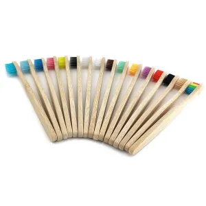 12Pcs Pack Rainbow Natural Soft Hair  Bamboo Toothbrushes