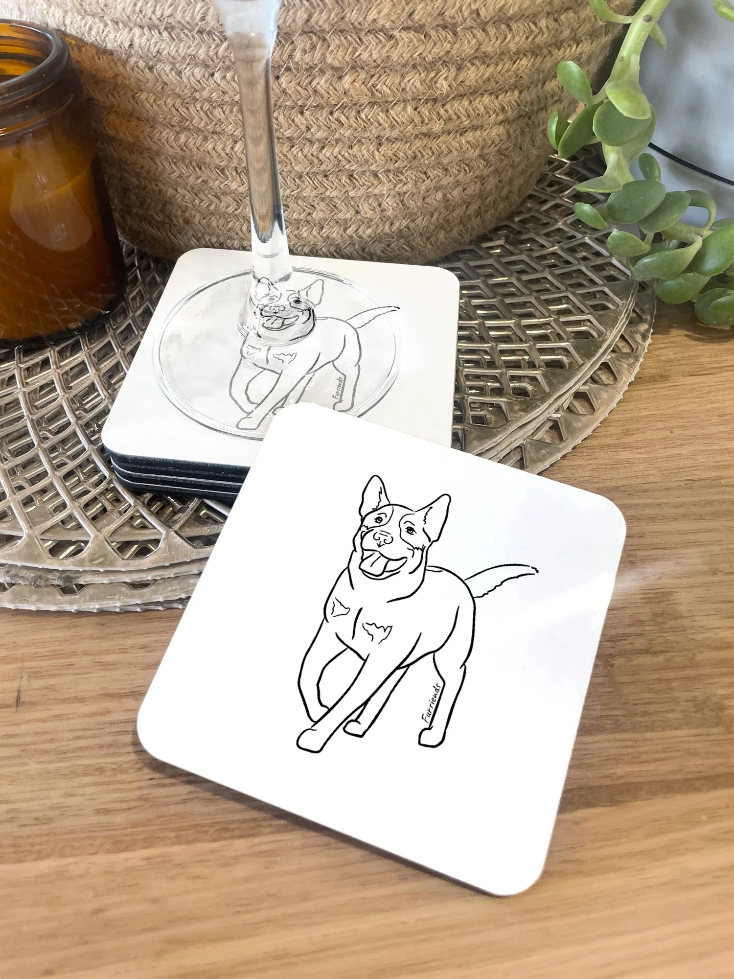 Australian Cattle Dog Coaster