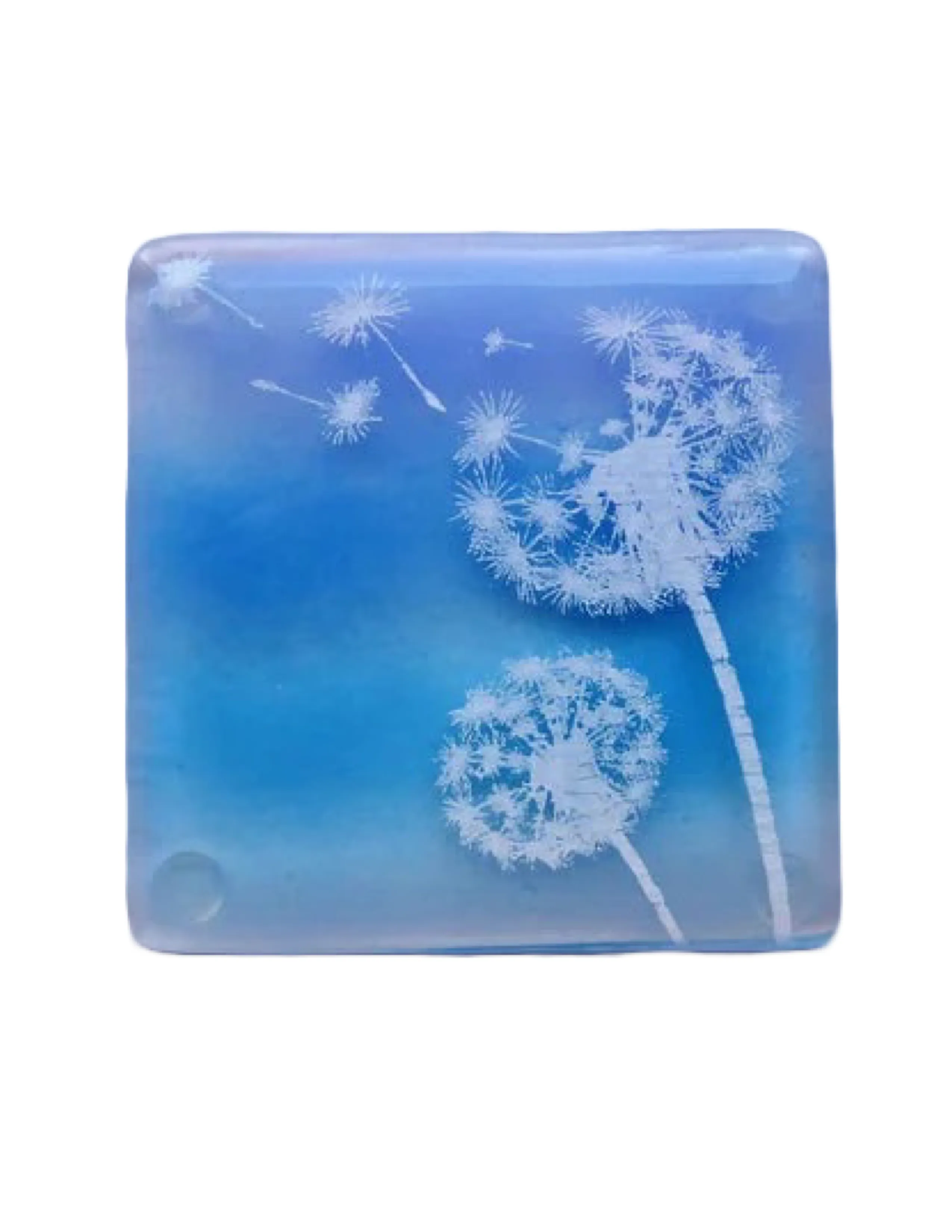 Eva Glass Design Blue and white dandelion fused glass coaster (EGD  CBD)