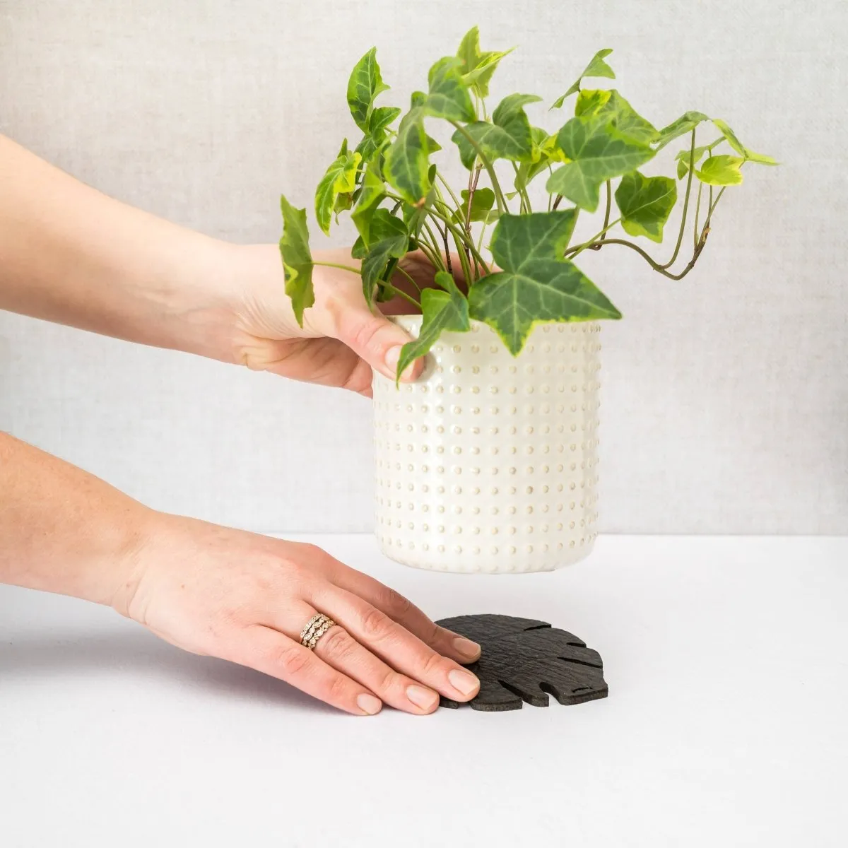 Kostr – The Sustainable Plant Pot Coaster- Monstera Leaf