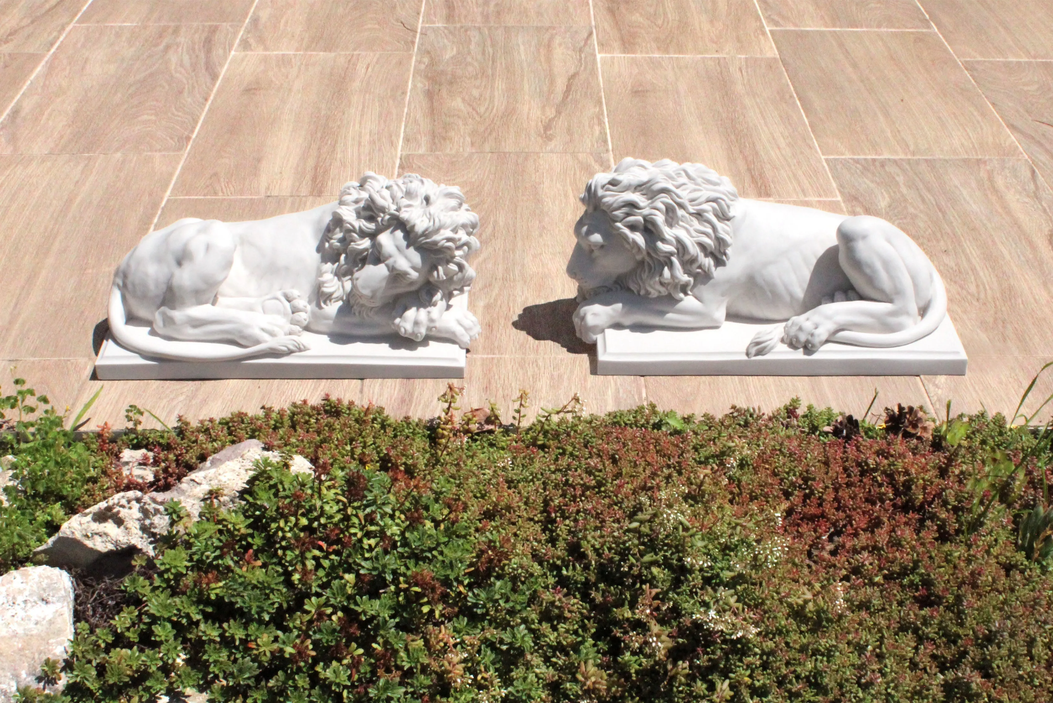 Large Lions Statue in Pair