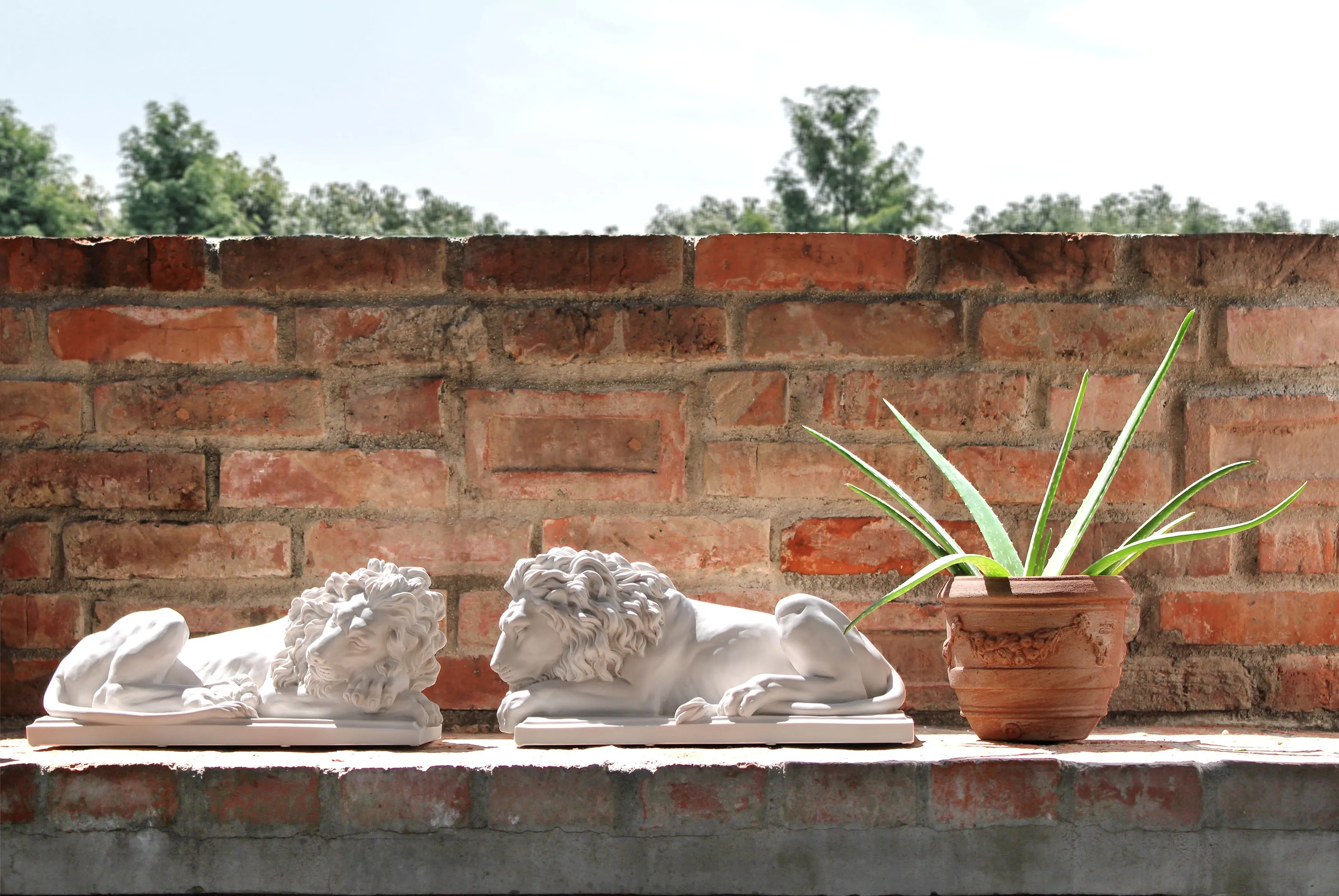 Large Lions Statue in Pair