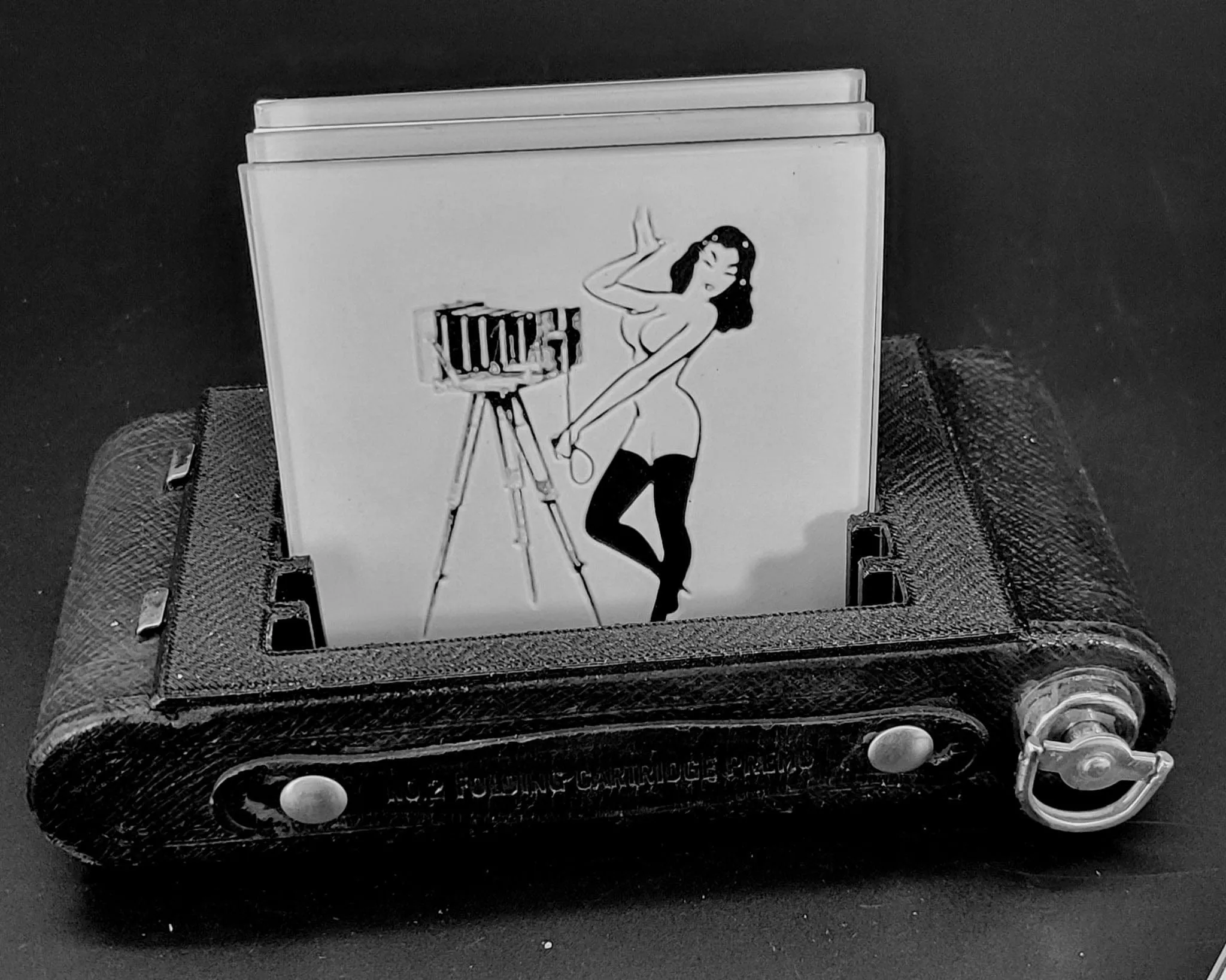 Madame Lulu Coaster Set, Barware, Home Theater Decor, photographer gift