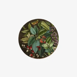 Mahoe & Titoki Berries Coaster