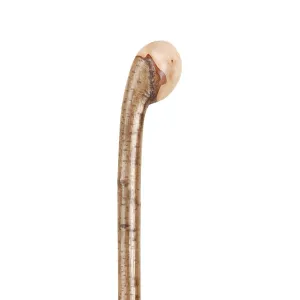 Stout Hazel Knob Walking Stick