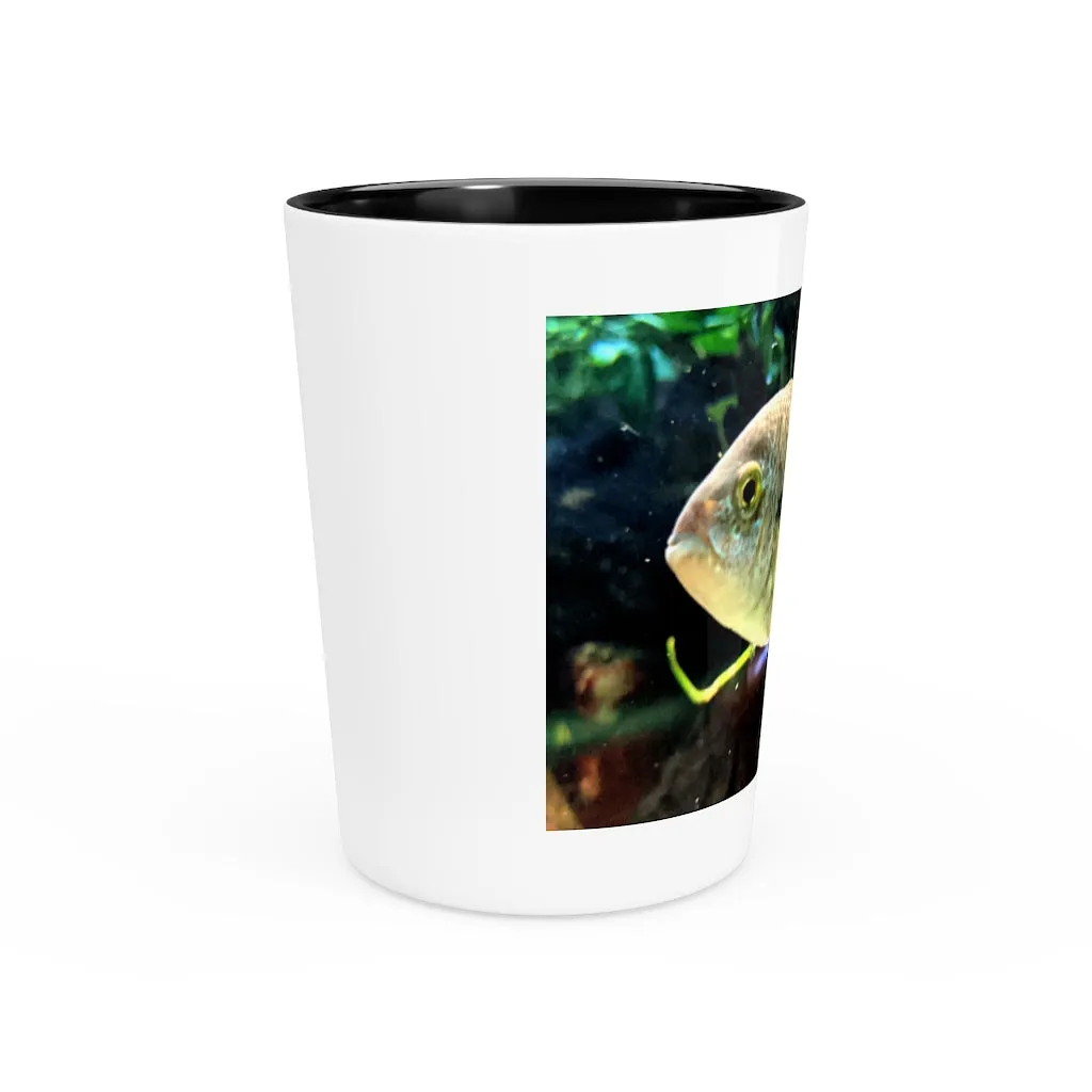 Yellow and Black Fish Shot Glass