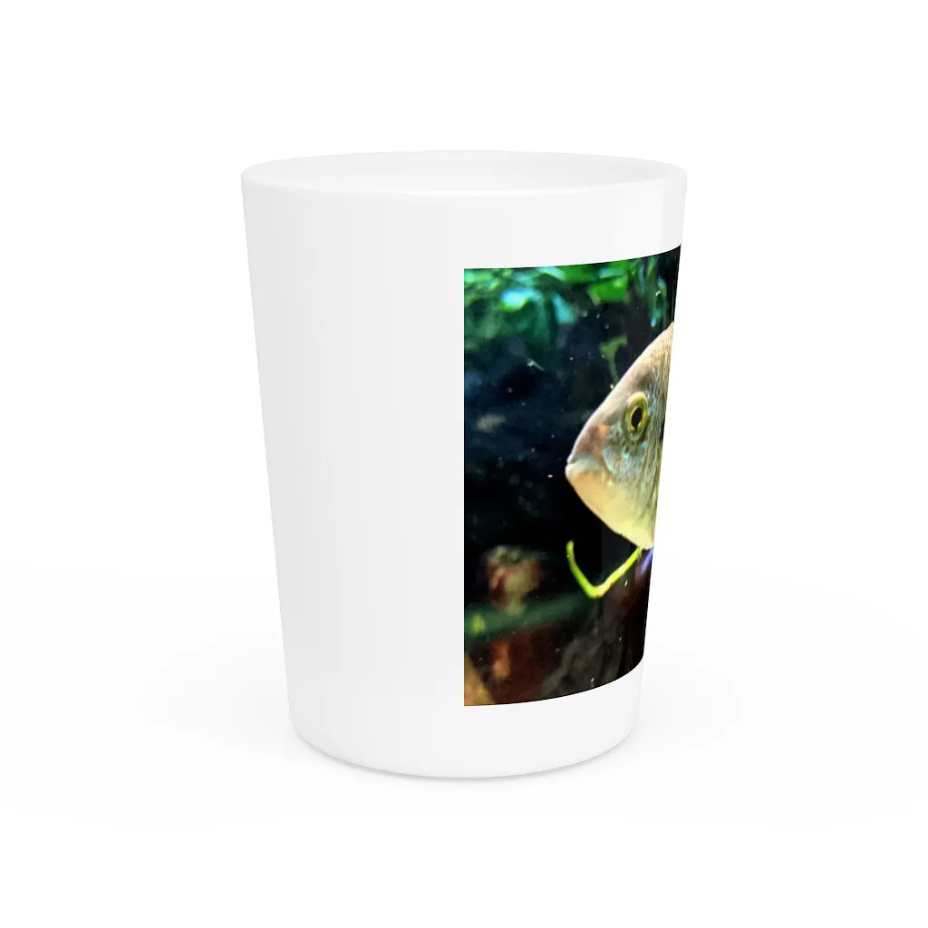 Yellow and Black Fish Shot Glass