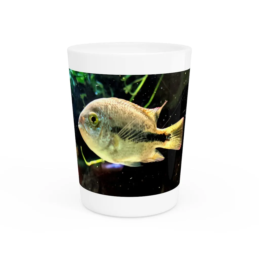 Yellow and Black Fish Shot Glass